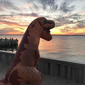 Meet your Posher, Kari-anne